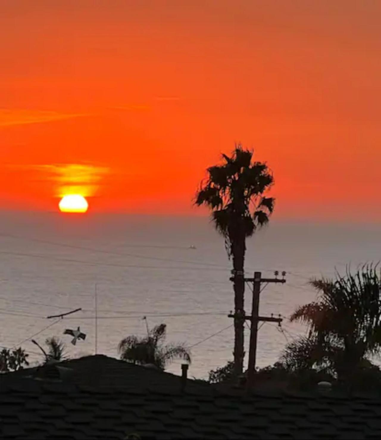 Contemporary Ocean Sunset Views With Firepit Pt Loma Close To Plnu Appartamento San Diego
